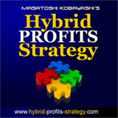 Hybrid Profits Strategy �n�C�u���b�h�E�v���t�B�b�c�E�X�g���e�W�[�@�w�n�C�u���b�h�E�v���t�B�b�c�헪�x